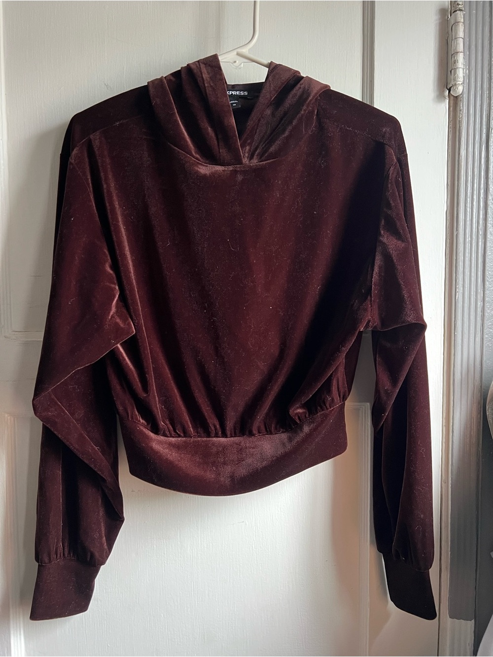 Express Velvet Cropped Hoodie - Burgundy